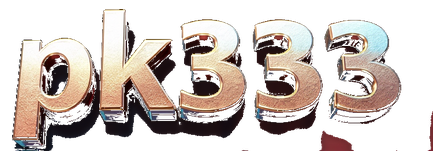 pk333 logo